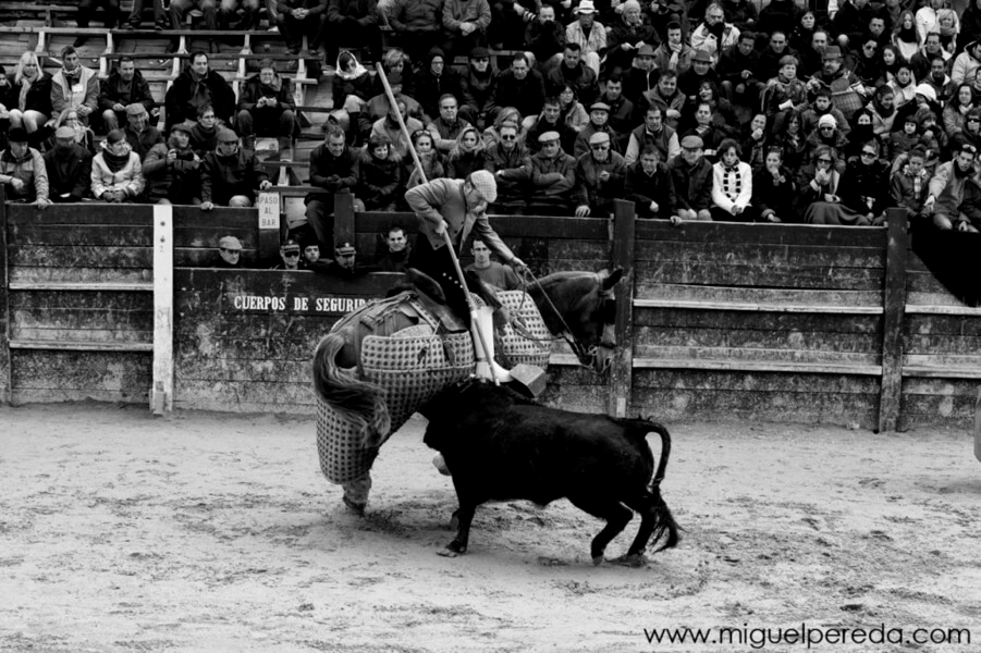 La suerte de varas con Israel de Pedro