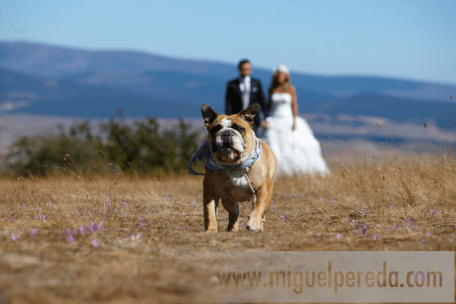 Fotografías de preboda, boda y postboda de Juan y Ana