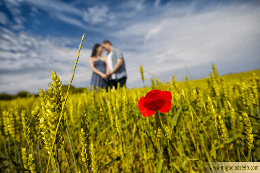 Repostaje de boda de Alfonso y Toñi