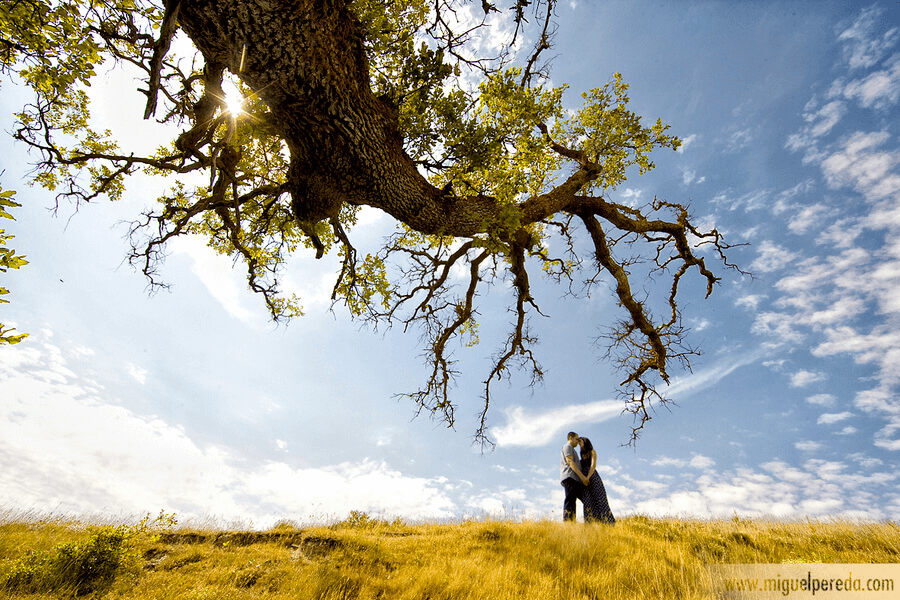 Repostaje de boda de Alfonso y Toñi