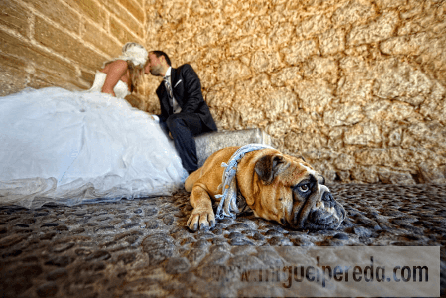 Fotografías de preboda, boda y postboda de Juan y Ana