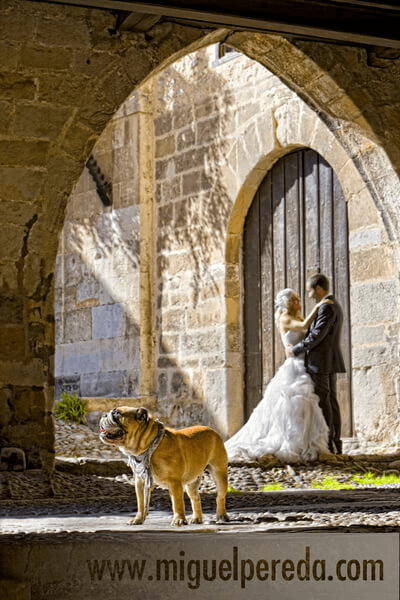 Fotografías de preboda, boda y postboda de Juan y Ana