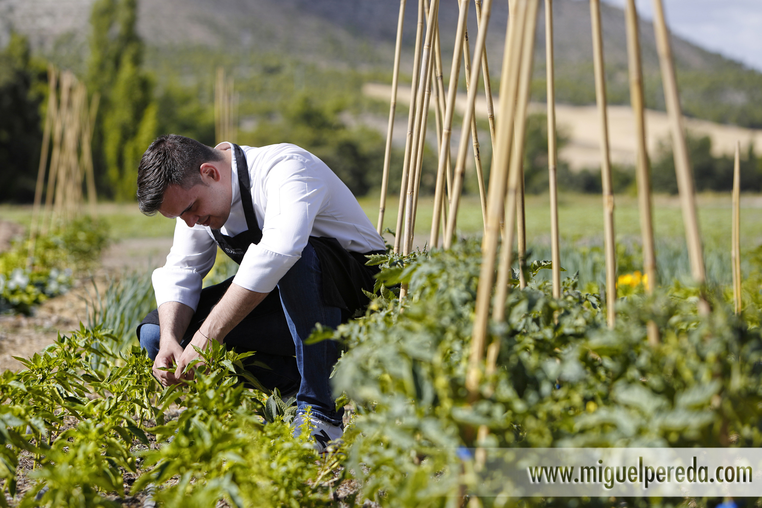 Fotos de Marc Segarra. Chef estrella Michelin en Abadía Retuerta