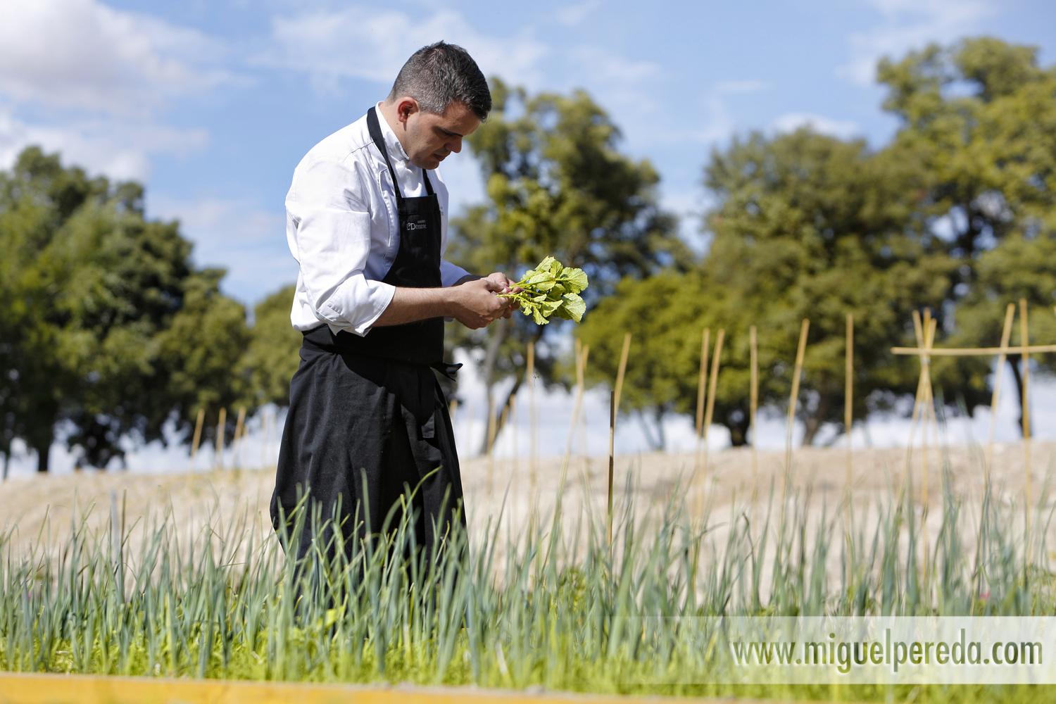 Fotos de Marc Segarra. Chef estrella Michelin en Abadía Retuerta