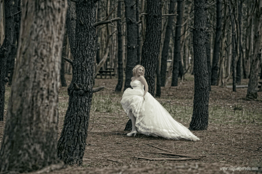 Miguel Pereda Fotógrafo profesional de bodas