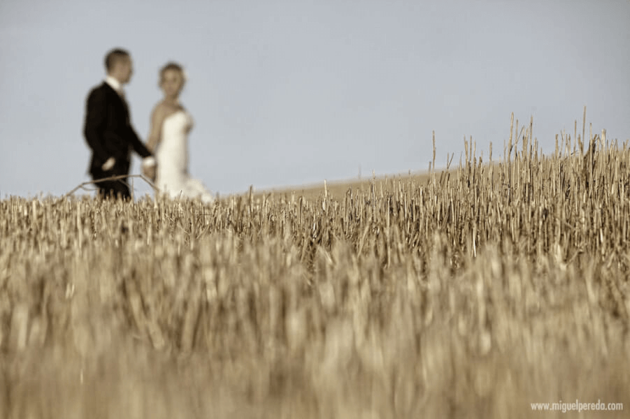 Miguel Pereda Fotógrafo profesional de bodas