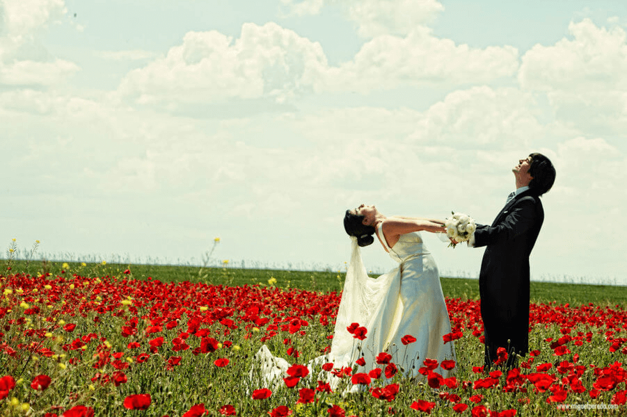 Reportaje fotográfico del día de la boda