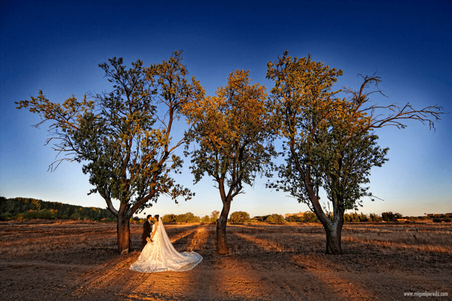 Reportaje fotogŕafico de bodas