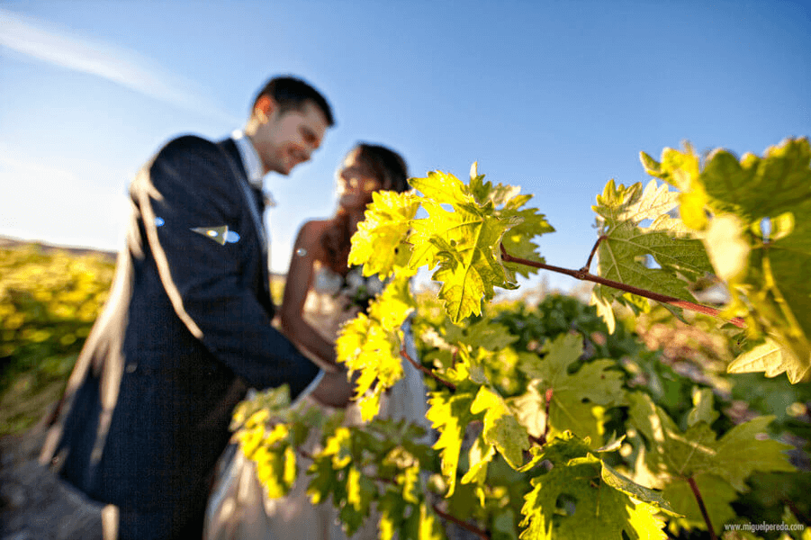 Reportaje fotográfico del día de la boda