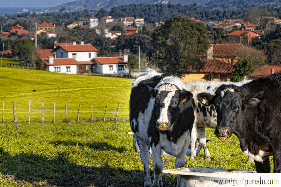 Fotografía Turismo rural Asturias